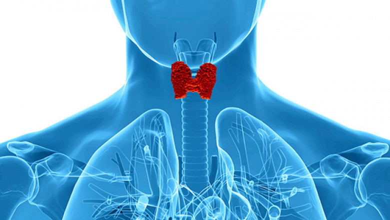 Testing Your Thyroid Gland, How and Why?