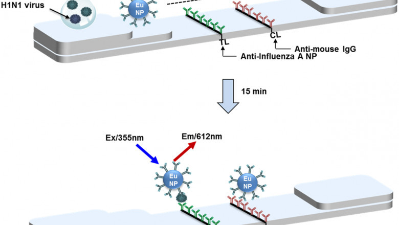 Viral Antigen Diagnostics Market 2021 - Industry Segment, Drivers, Trends, Forecast to 2028