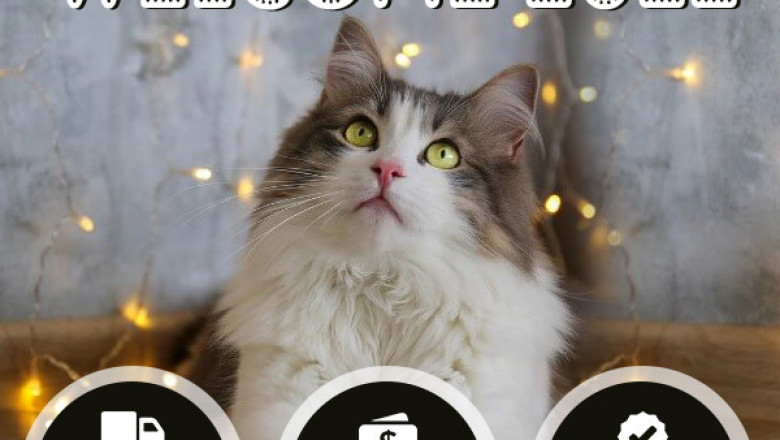 Get great New Year deals on all pet supplies at petvetzone
