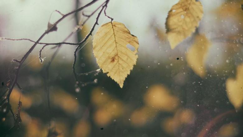 pedicure chair choices give some thought to for acquire nail salon