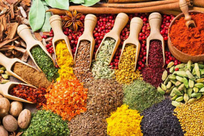 Specialty Food Ingredients Market Forthcoming Developments, Business Opportunities by 2026