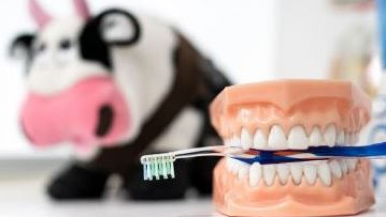 Dental Clinics & Dental Treatment