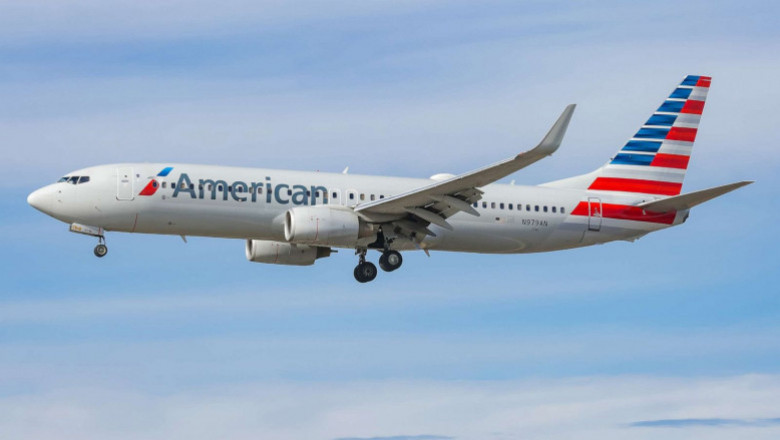 American Airlines Pet Policy
