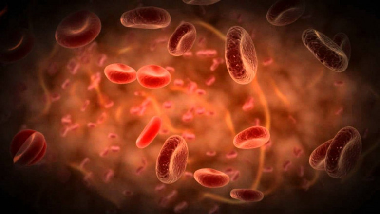 Blood Cleanser Pills - Natural Blood Cleansing her, Improve Memory