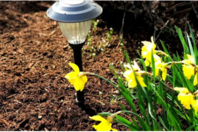 Grand Rapids Mulching|Gr Mulching