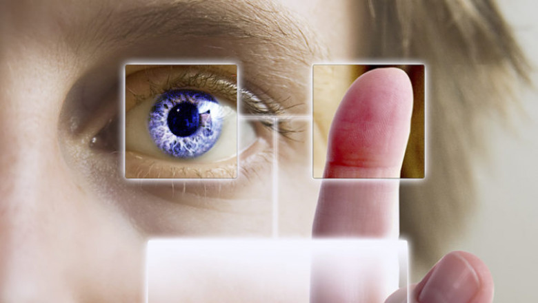 Human Identification Analysis Software Market Technology, Insights by Trend & Demand
