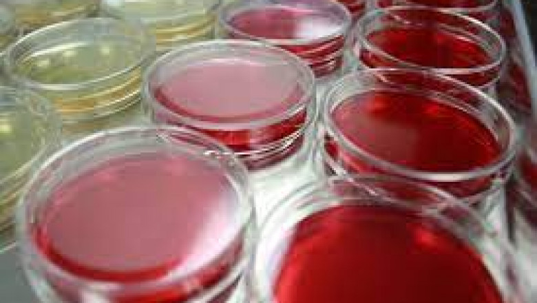 Raw material testing lab-Ensure safety and quality