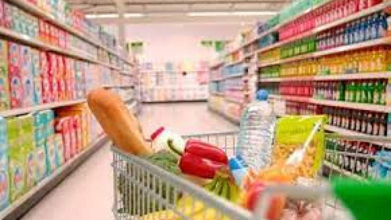 Super Absorbent Pet Pad Market Share, Size, Growth Opportunity and Global Demand Forecast to 2026