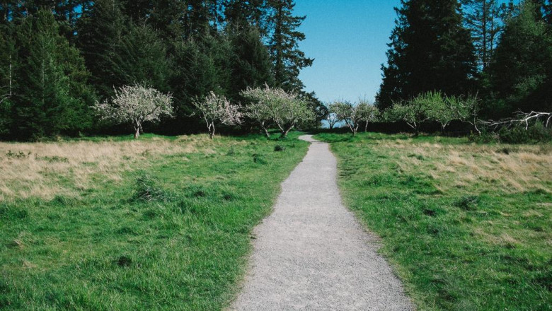 thong tin ve da khoa thien nhan