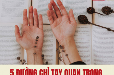 5 duong chi tay quan trong ma ai cung phai biet