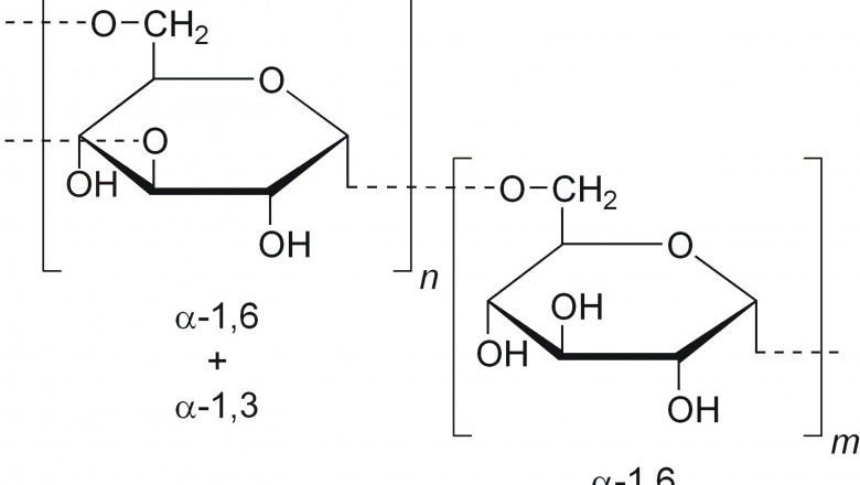 Dextran Market Statistical Analysis, Key Segments, Opportunity and Forecast 2026
