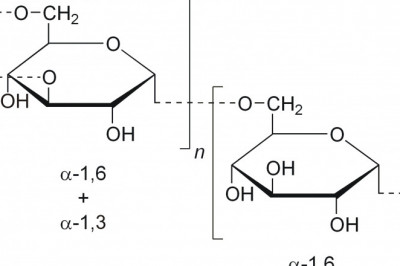 Dextran Market Statistical Analysis, Key Segments, Opportunity and Forecast 2026