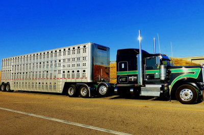 Global Automotive Trailer Market 2020 Industry Analysis, History Overviews, Trends and Forecast 2030