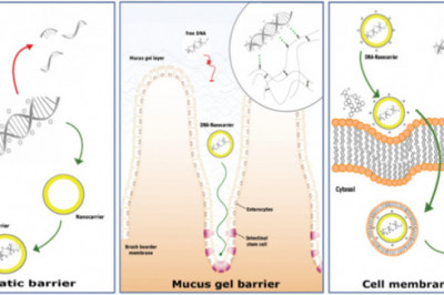 Nucleic Acid Based Drugs Market Company Business Analysis, Industry Synopsis, Business Outlook 2022 to 2028