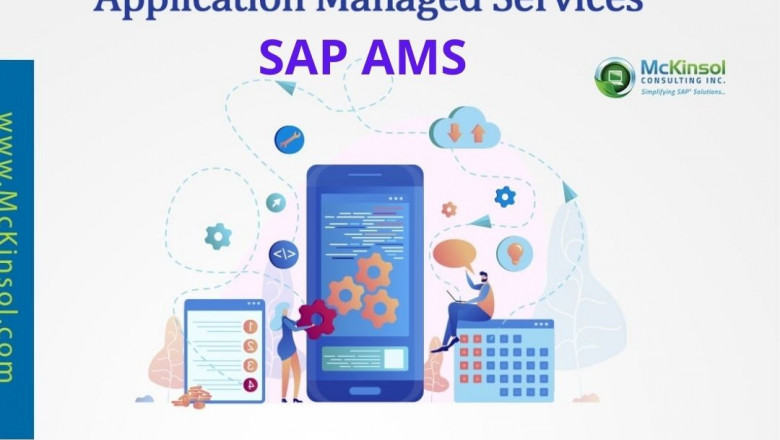 SAP AMS:-mckinsol