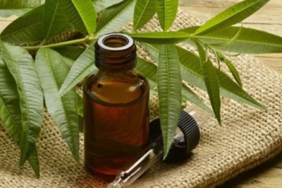 Tea Tree Oil Market Size Forecast to Reach $61.37 Million by 2025