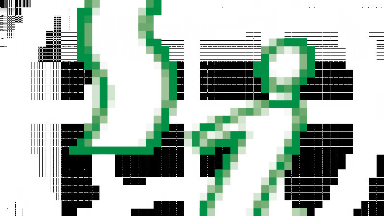 Why Choose Spanish Language Immersion School in Mexico - Sipuebla