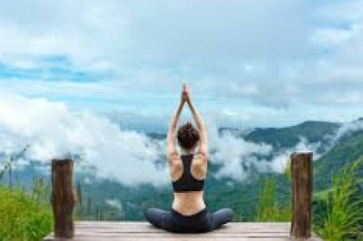 Free BangBros Videos