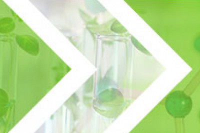 Isobornyl Acetate (CAS 125-12-2) Market Size - Global Outlook and Forecast 2021-2027
