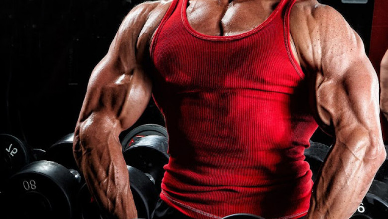 Muscle Building vs Fat Loss