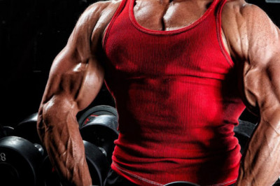 Muscle Building vs Fat Loss