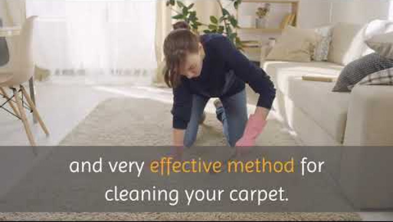 NY Carpet Cleaner