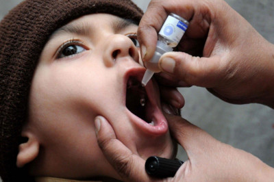 Polio Vaccines Market Size and Forecast