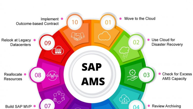 SAP AMS services at mckinsol