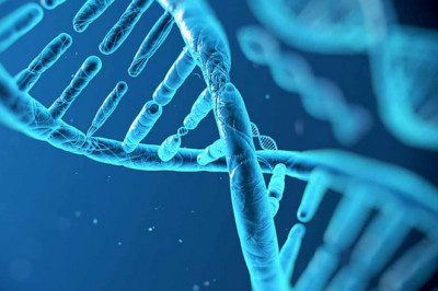 COVID-19 Impact Analysis of Recombinant DNA Technology Market