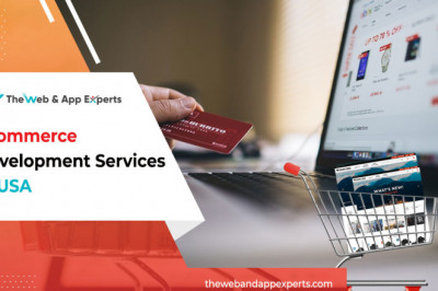 Ecommerce Development Services in USA