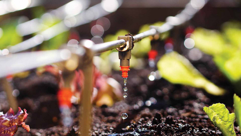Impact of COVID-19 on the Drip Irrigation Market