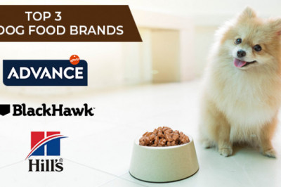 Top 3 Wet Dog Food Brands