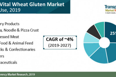 Vital Wheat Gluten Market Outlook by 2027