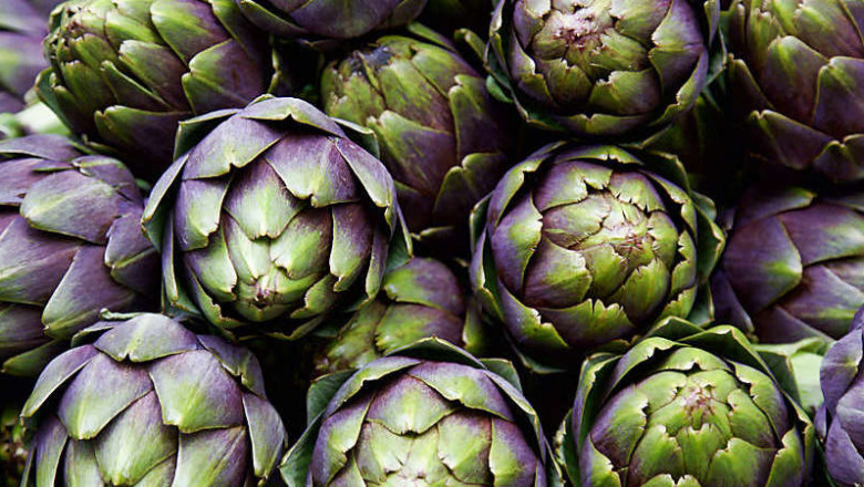 Artichokes Market Dynamics