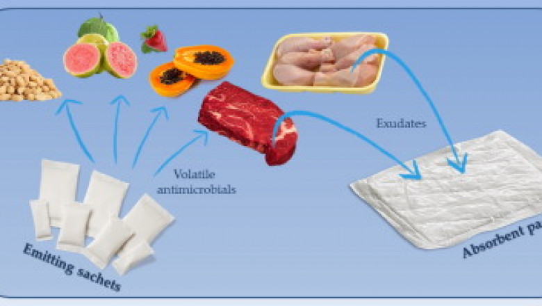 Comprehensive Study on Micro-perforated Food Packaging Market 2022 with Top Leading Vendors like Sealed Air, COVERIS, Amcor Limited