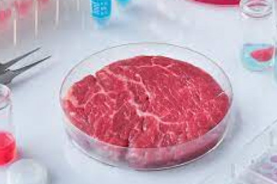 Global Cultured Meat Market Report-Forecasts to 2027