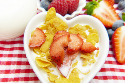 Lactose-Free Dairy Products Market Outlook by 2026