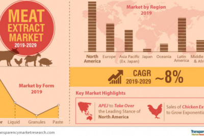 Meat Extract Market Outlook by 2029