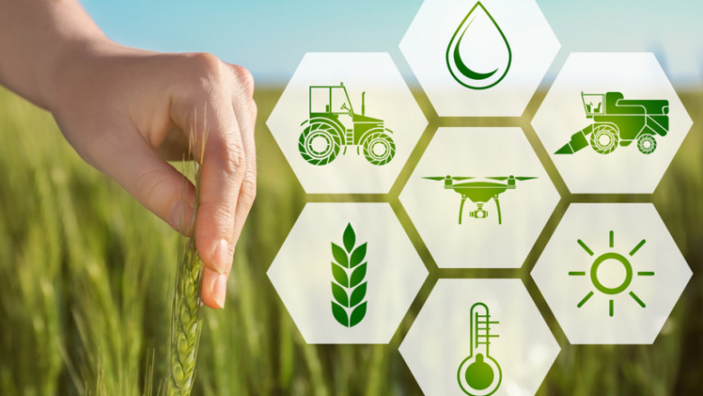 New Approach of Blockchain in Agriculture Market 2021: To Business Applications with Top Key Players like Microsoft, IBM Corporation