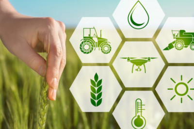 New Approach of Blockchain in Agriculture Market 2021: To Business Applications with Top Key Players like Microsoft, IBM Corporation