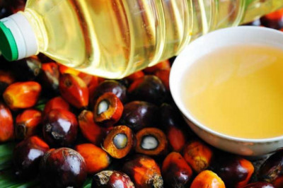 Palm Oil Market Share, Demand, Share, Price Trends, Sales and Forecast 2021-2026