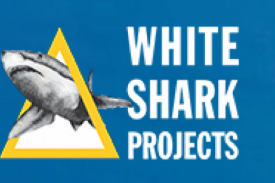 Shark Diving for disabled with white shark projects