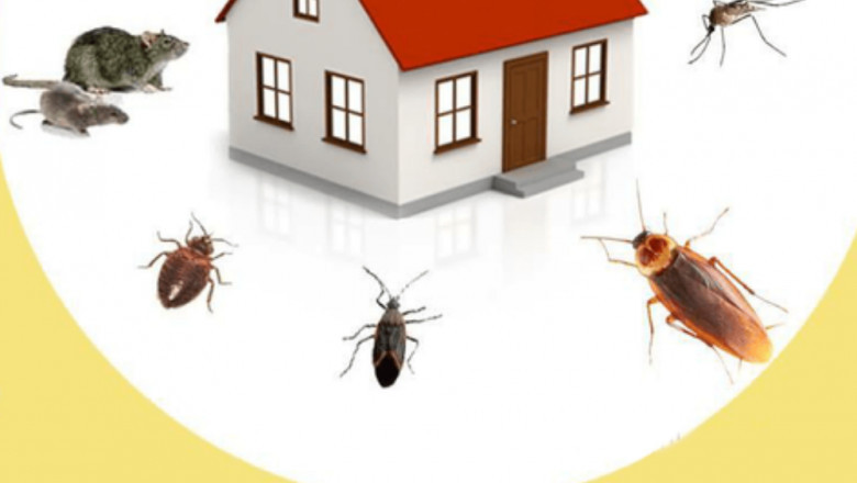 Best home pest control services in Virginia