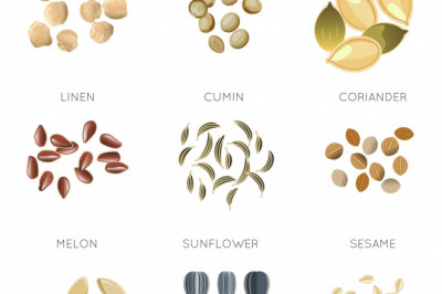 Health Benefits of Sunflower Seeds:-