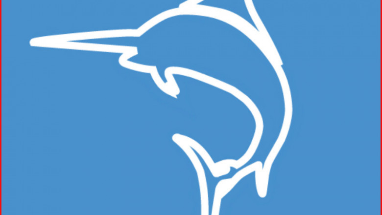 Common Scuba Diving Facts for Kids and Newbies