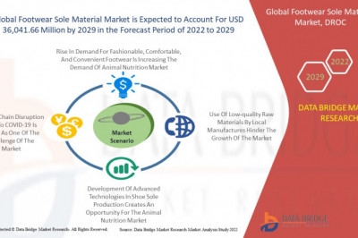 Footwear Sole Material Market Size, Share, Trends, Massive Growth & is Expected to Reach USD 36,041.66 million & Grow 5.9% CAGR Forecast by 2029