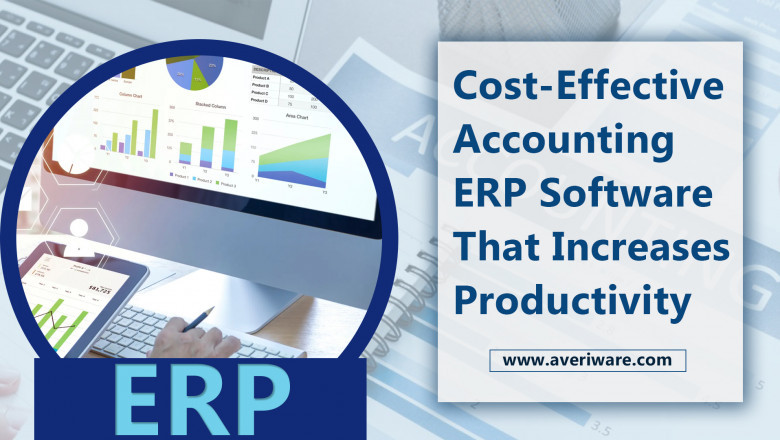 Fully Fledged Accounting ERP Software
