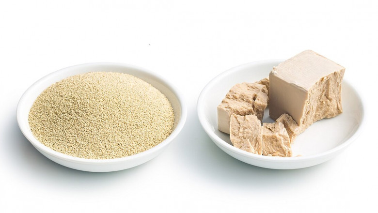 Industry Analysis of Instant Dry Yeast Market