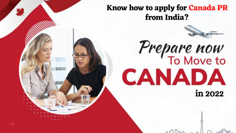 Learn More About India's Best Immigration Consultants!