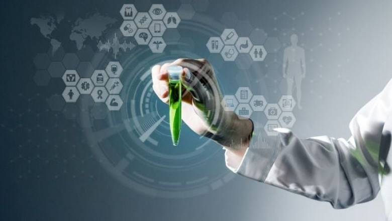 Population Health Management (PHM) Market to Witness High Growth, Dynamics, Production, Demand Analysis and Forecast 2022-2029